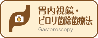 胃内視鏡・ピロリ菌除菌療法